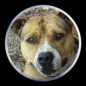 Meet your Posher, Roland